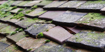 Madingley roof repair costs